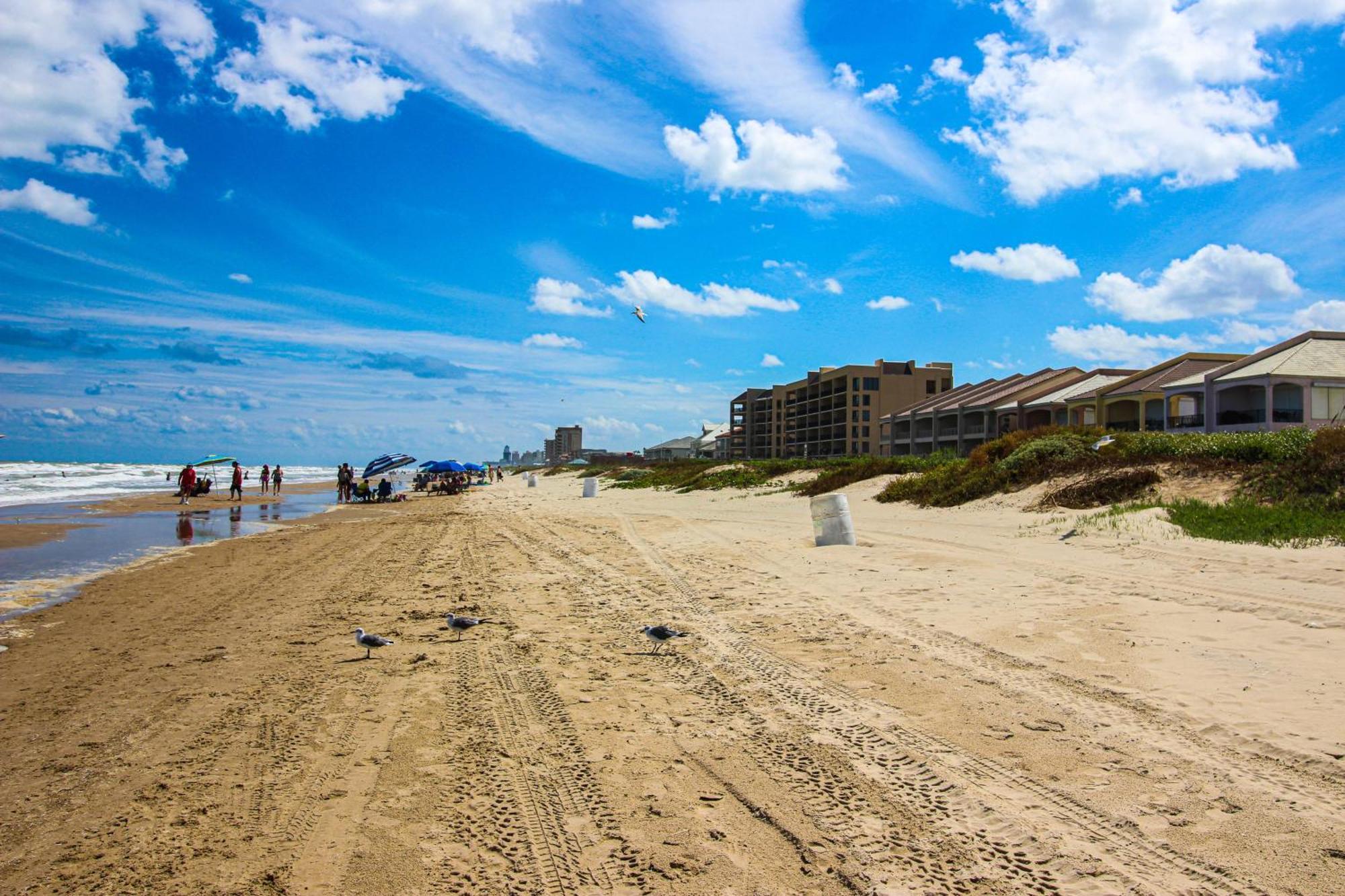 Bay * South Padre Island